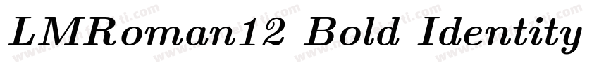 LMRoman12 Bold Identity H字体转换